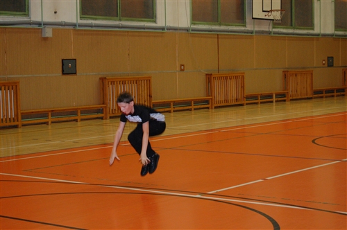 Obrázek v galerii